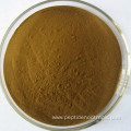 Natural Organic Maca Root Extract Powder